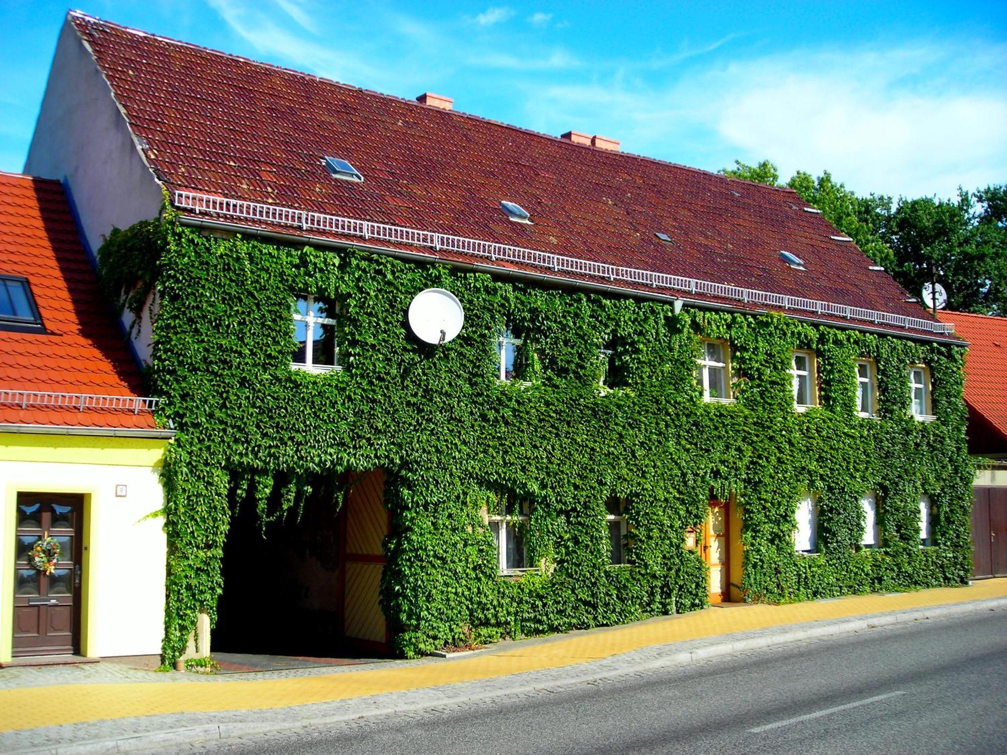 Ferienwohnung Auf Ehem. Alten Bauernhof Liebenwalde Buitenkant foto